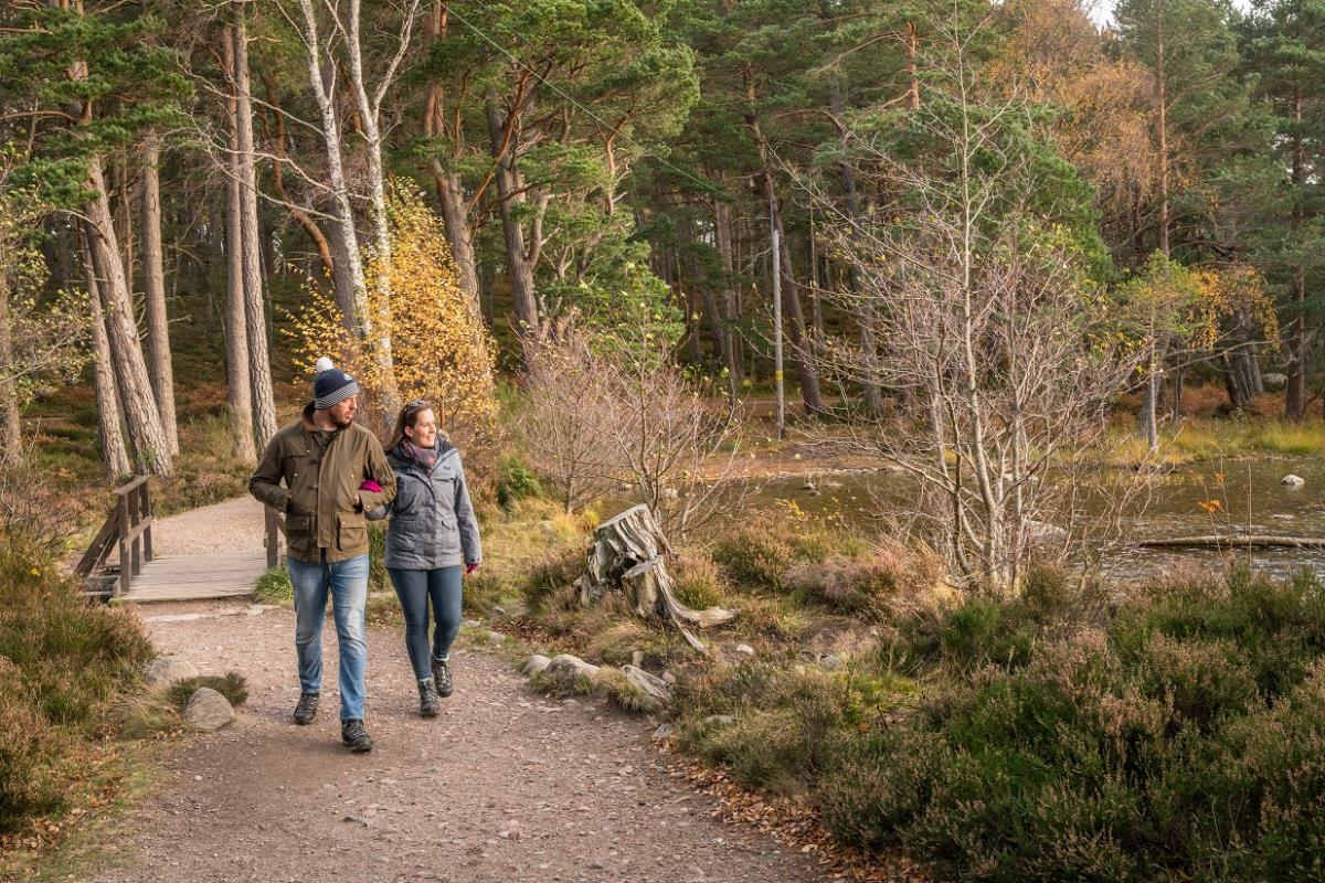 Couple enjoying an autumn woodland walk